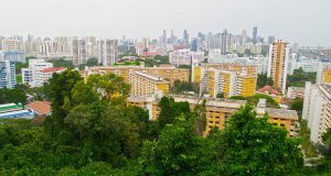 MtFaberStandard view - Photo by Erik S. Peterson