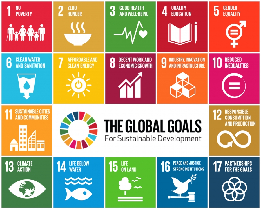 Global Goals SDGs