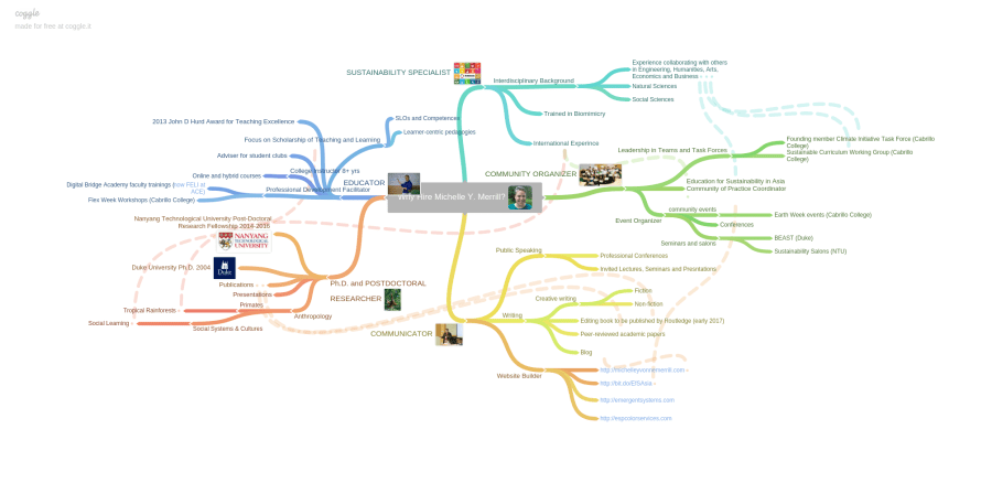 Why_Hire_Michelle_Y__Merrill_